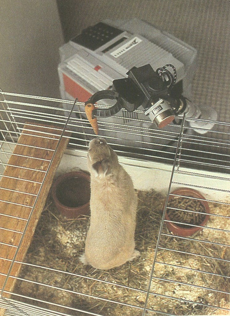 Figure 11 — A HERO 1 using its arm and gripper to offer a carrot to a rabbit. The gripper could hold up to a pound when retracted and horizontal, and half that at full extension.